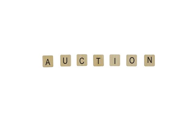Caution with Auction - Essential Tips for a Successful Bid