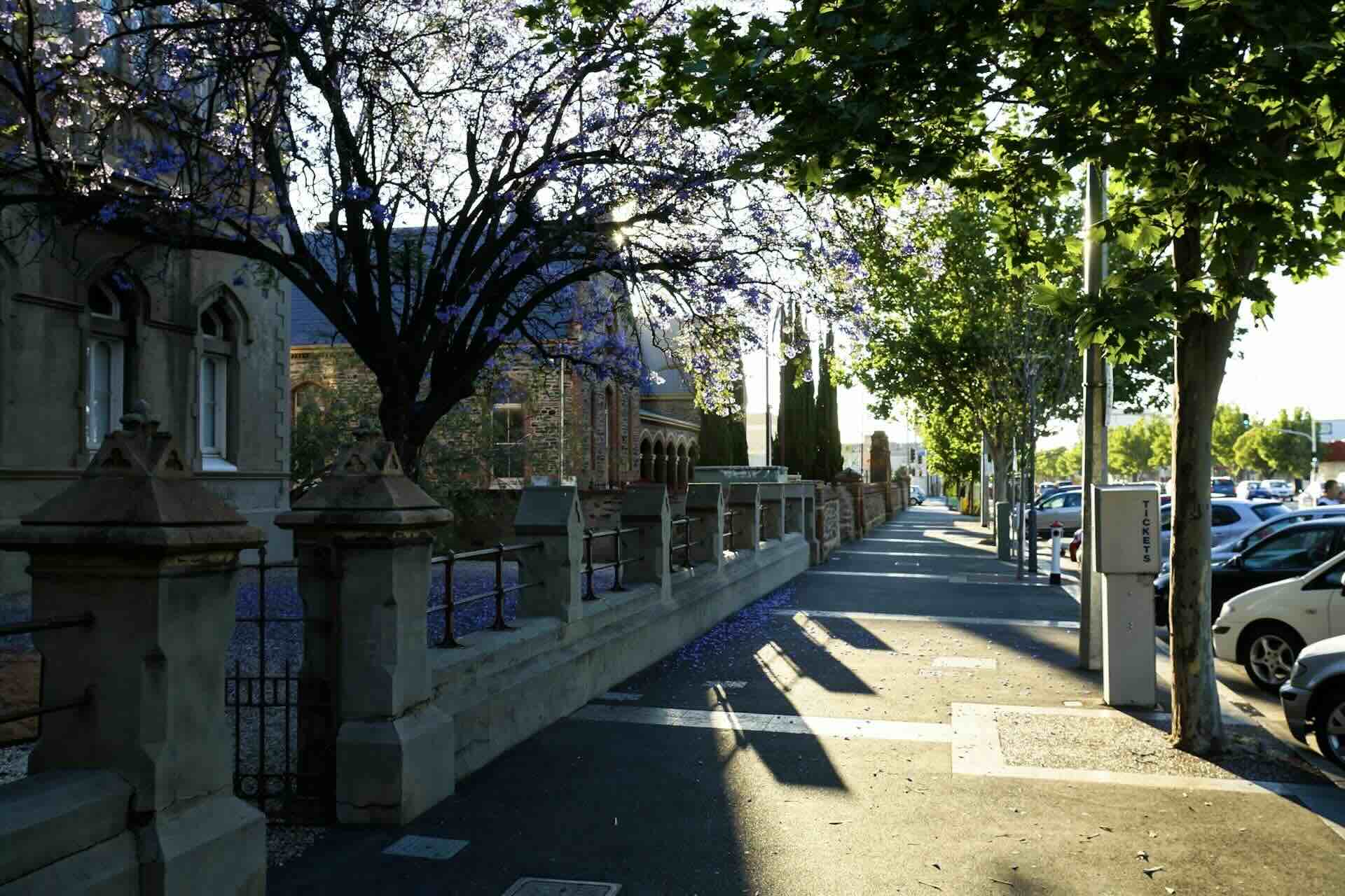 Buying a tenanted property in South Australia